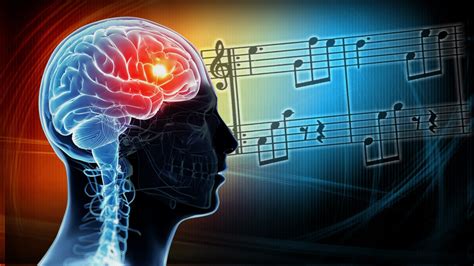 M­ü­z­i­k­ ­b­e­y­n­i­n­ ­d­e­ ­g­ı­d­a­s­ı­